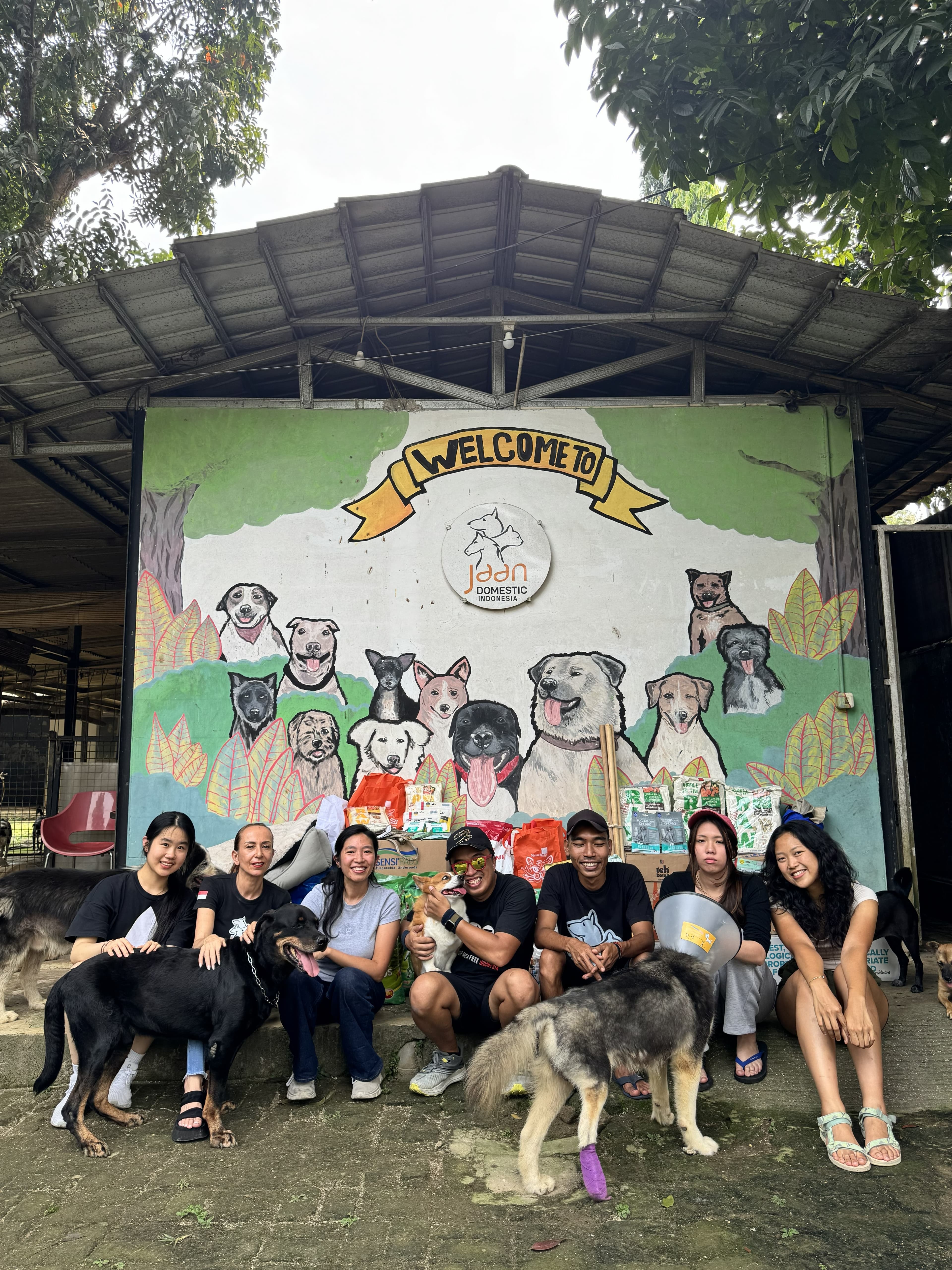 JAAN — Jakarta Animal Aid Network