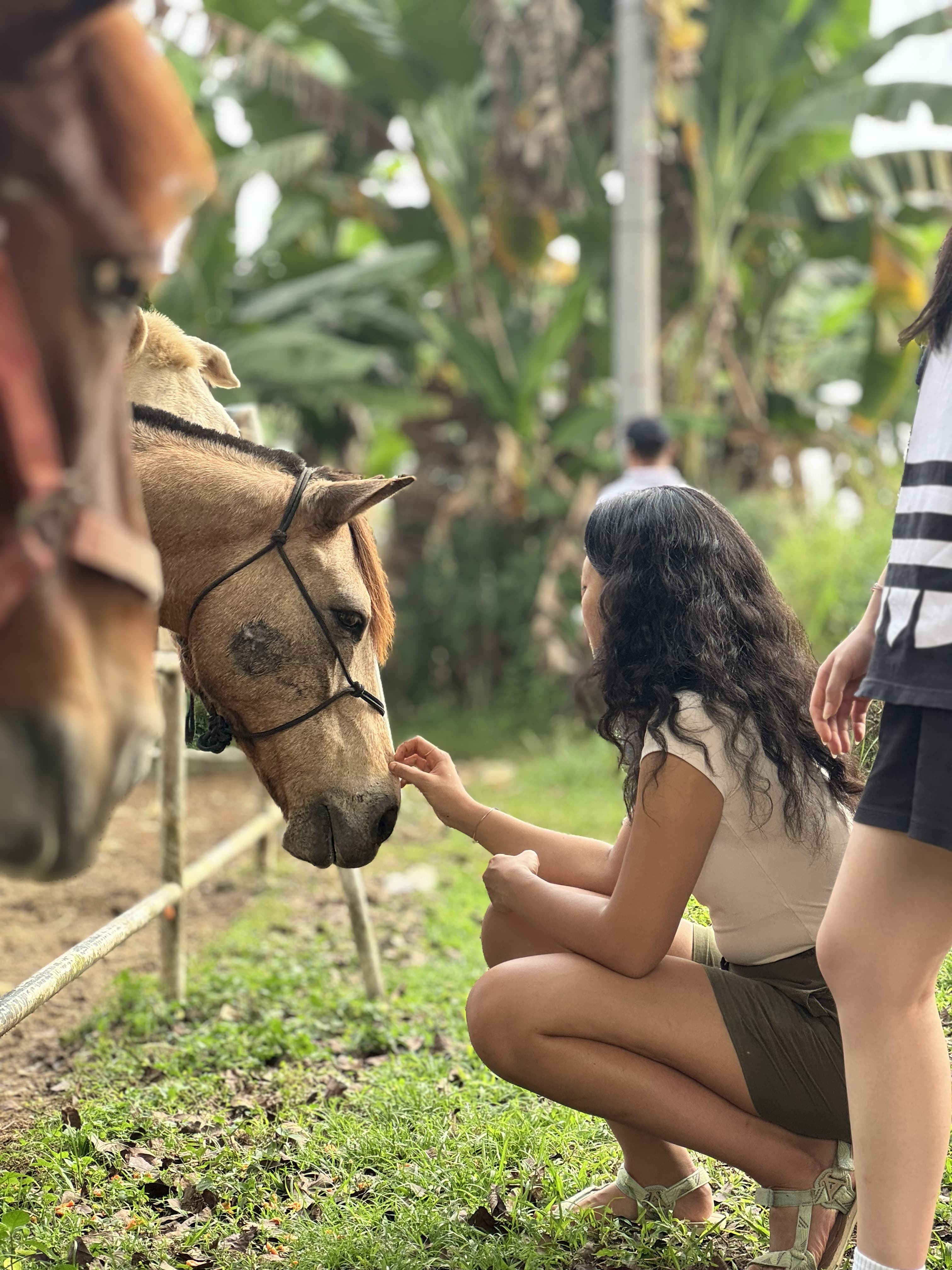 Shelter volunteer moment