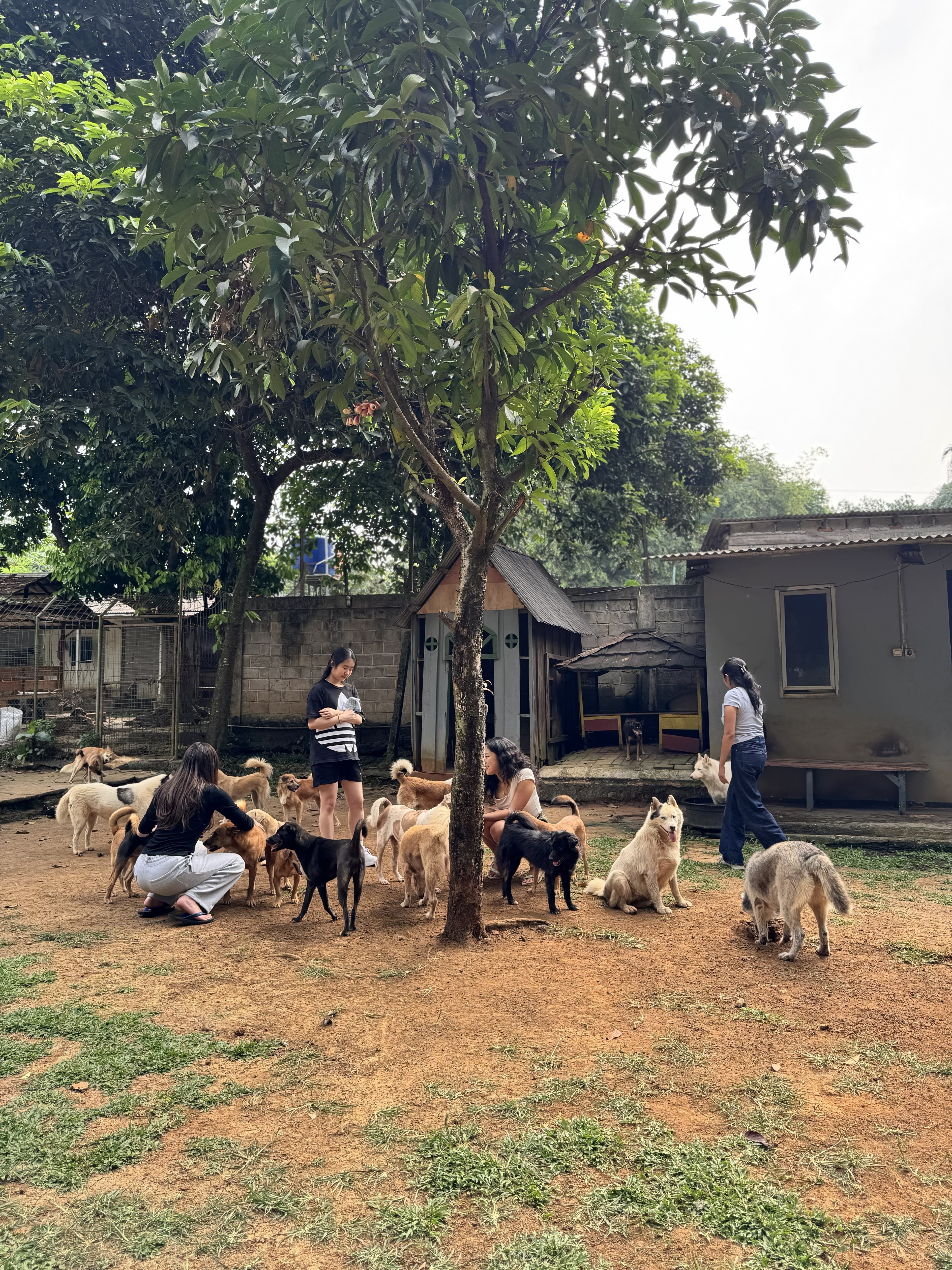 Shelter volunteer moment