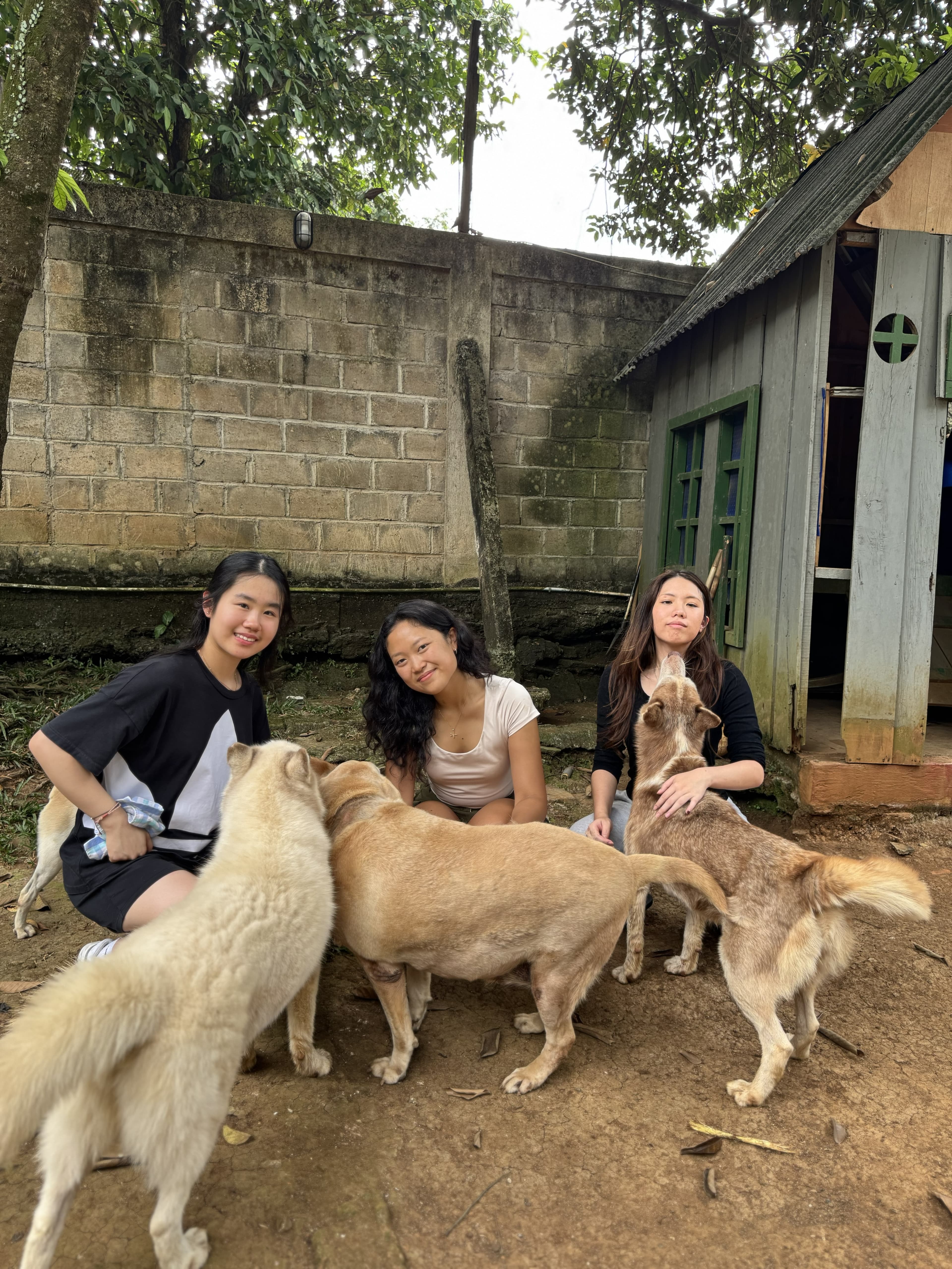 Shelter volunteer moment