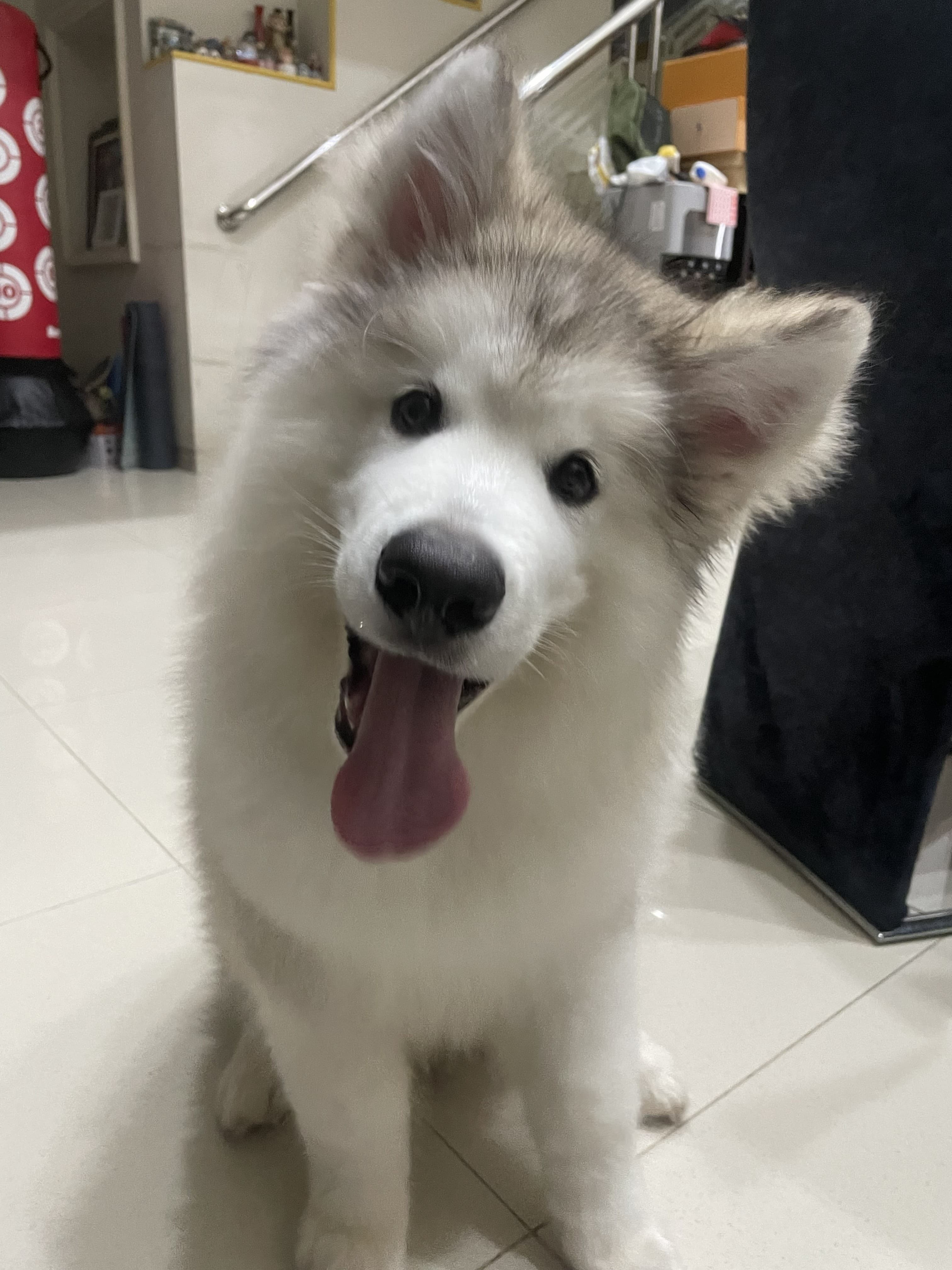 Client visit
